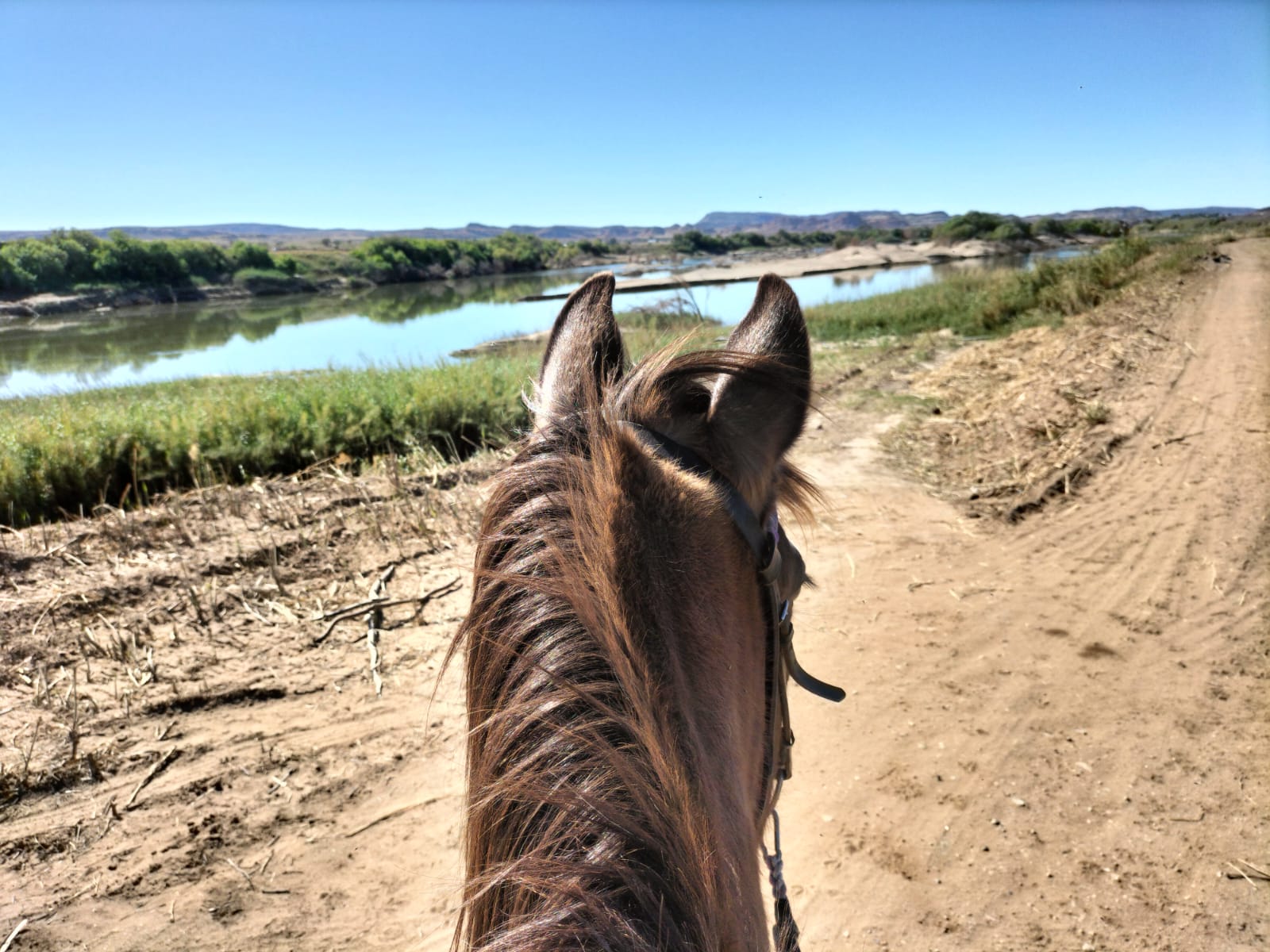 Spectacular views of the vineyards and the Orange River on horse back