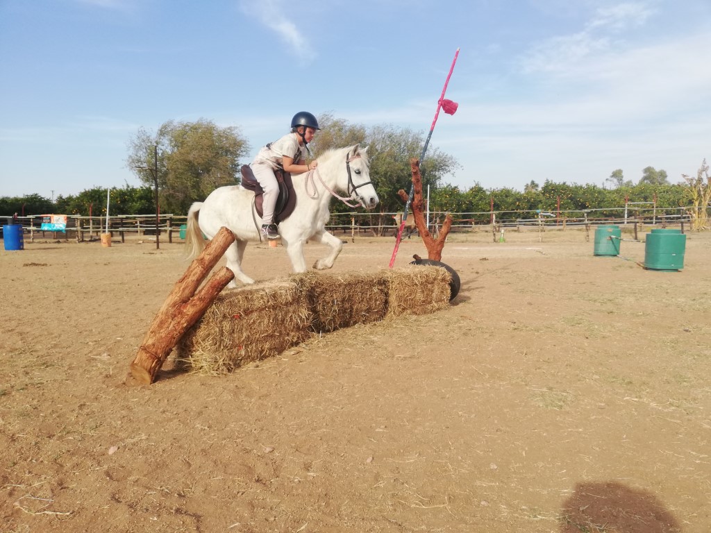 Teaching riders to jump during a school holiday "Perdepret" pony camp