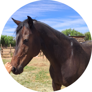 Luna: The Moonlit Schoolmaster