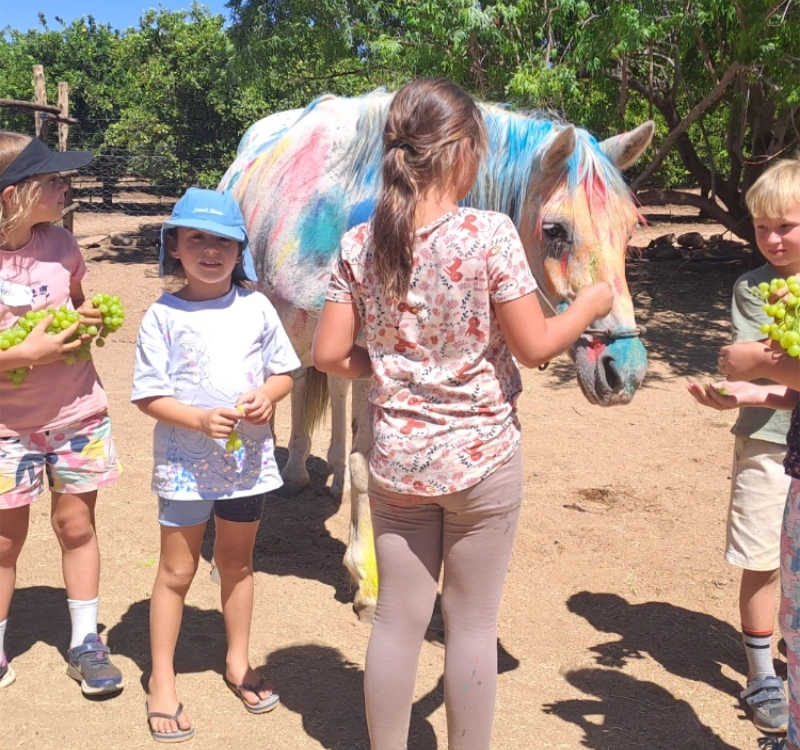 Feeding treats to a very patient horse after a pony painting party