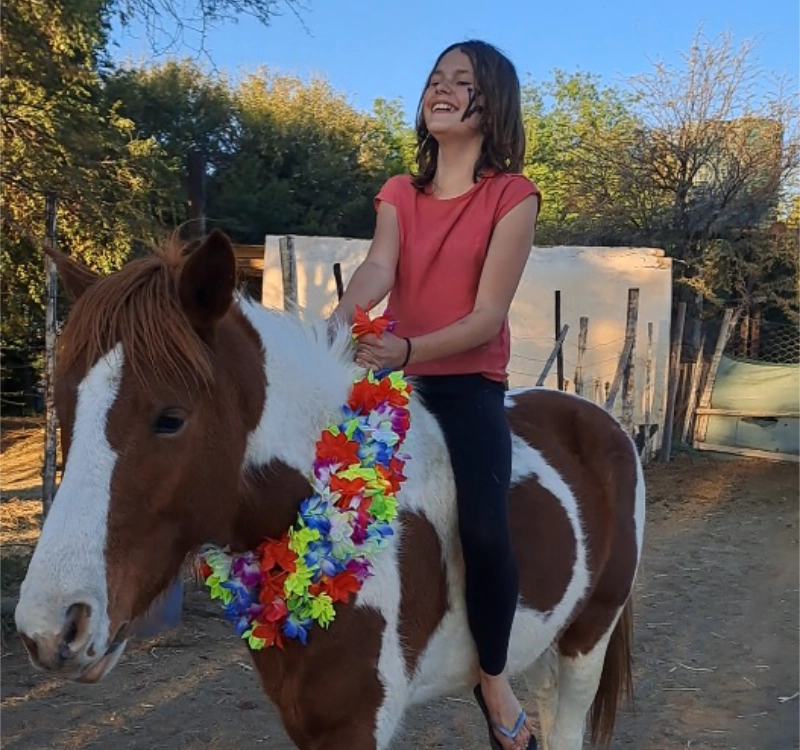 Gypsey, the face of the rescue centre and riding school