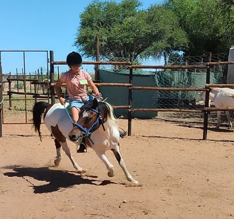 Trail ride the picturesque banks of the Orange River and hear the fish eagle's call in Augrabies, Northern Cape