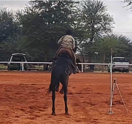 Action shot of a horse reacting with high-intensity behavior under saddle, highlighting the specialized retraining services offered for difficult or misunderstood horses